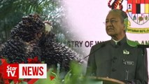 PM: Unfair to link palm oil to deforestation