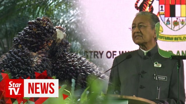 PM: Unfair to link palm oil to deforestation