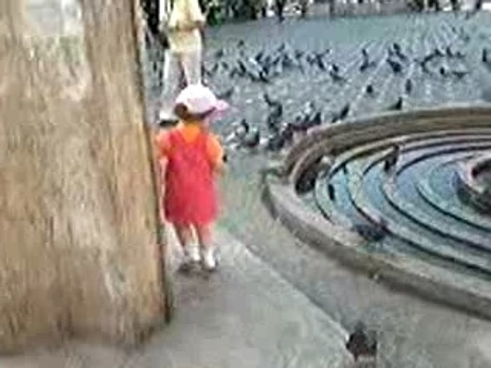 Timisoara centru