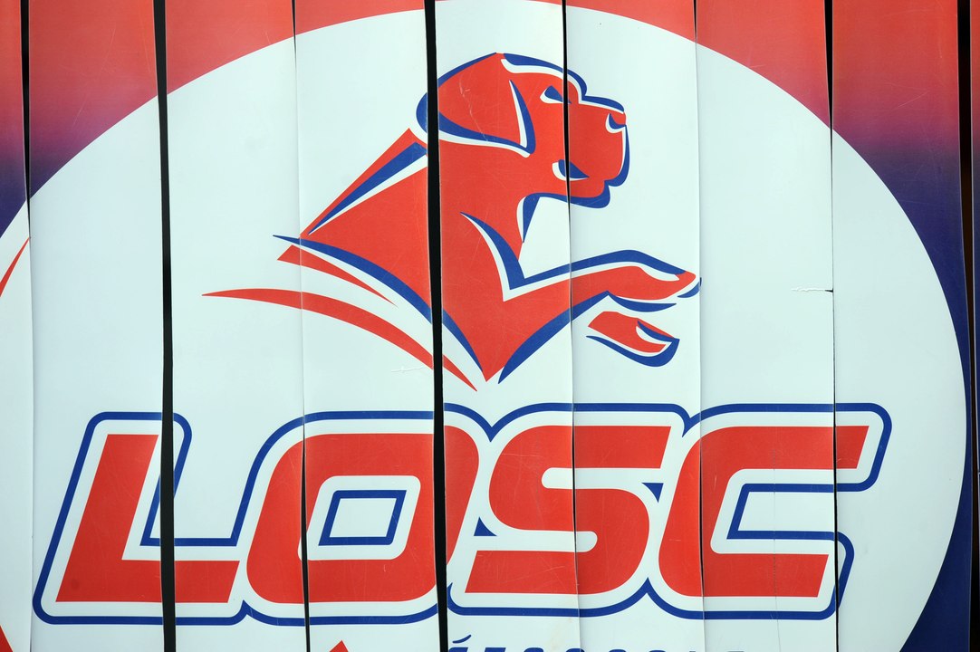 Lille : le palmarès complet des Dogues