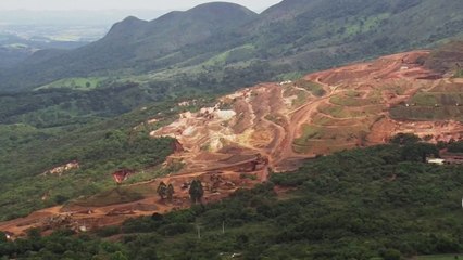 Faune - La déforestation, une affaire planétaire