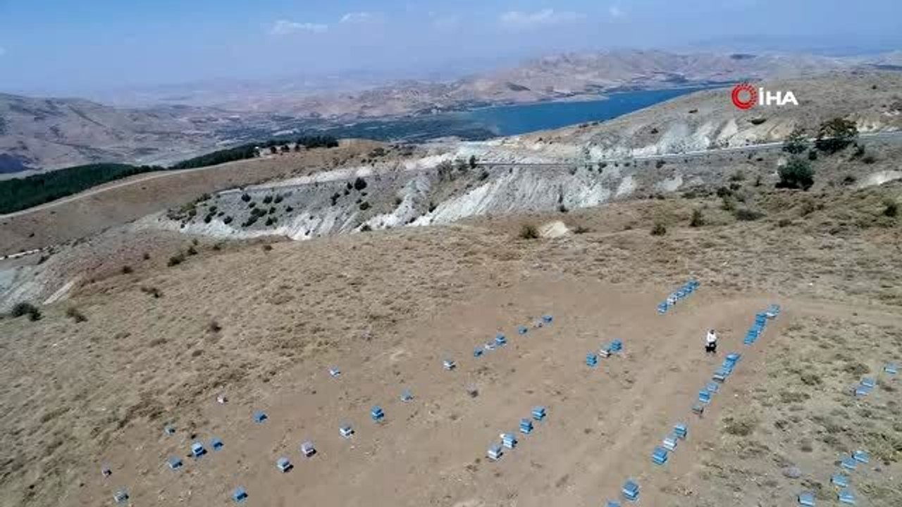 2 bin rakımda doğal "bal" bereketi
