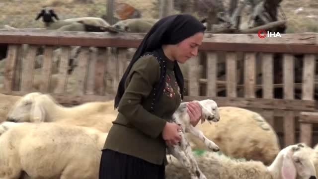 Kadın çiftçi hibe desteği ile başladı, şimdi çiftlik kurdu