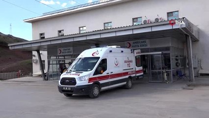 Ayının saldırdığı, karı- koca yaralandı