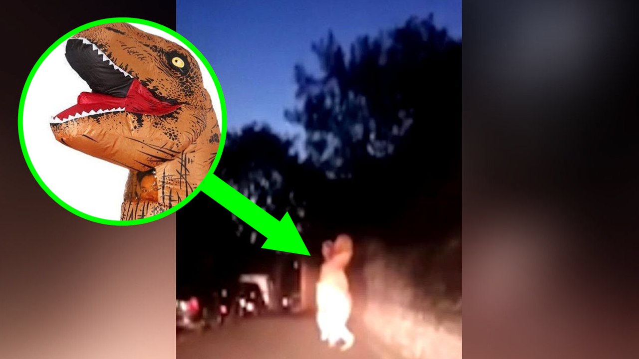 街中でティラノサウルスが暴走 - トモニュース