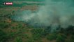 Incendies en Amazonie : attention aux fausses photos relayées sur les réseaux sociaux