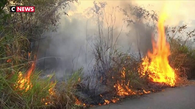 Incendies en Amazonie : Jair Bolsonaro estime qu'Emmanuel Macron agit comme un «colonialiste»