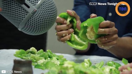 Les brui­tages de Mortal Kombat  sont réali­sés avec...des fruits !