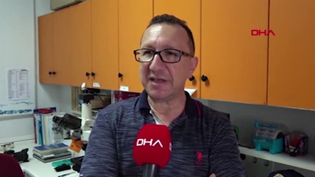 Karadeniz’de tek hücreli varlıkların sayısında artış balıkçılığı tehdit ediyor