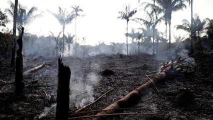 Amazon fires: Scientists mythbust Bolsonaro claims with satellite images