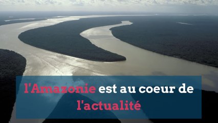 L'Amazonie, pourmon de la planète