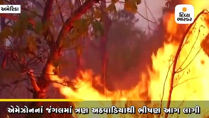 એમેઝોનનાં જંગલમાં ત્રણ અઠવાડિયાથી લાગેલ ભીષણ આગ વૈશ્વિક ચિંતાનો વિષય