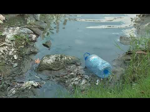 Shqipëria/Lumenjtë më të ndotur, Raporti europian: Shkak ujërat e zeza dhe mbeturinat