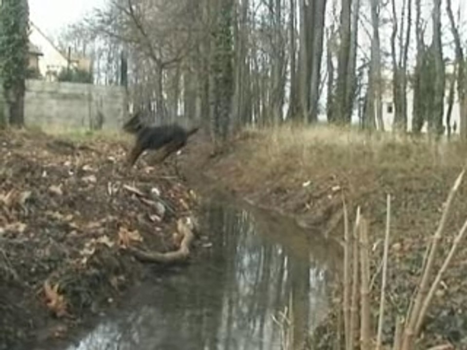 Clara film saut