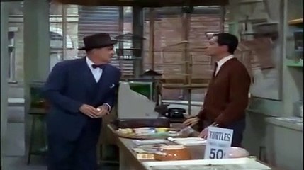 홍대출장안마 -후불100%ョO7OV7301V9649｛카톡MOK66}-홍대전지역출장안마 홍대오피걸 홍대출장마사지 홍대출장안마 홍대출장아로마 홍대출장안마후기㌖⾬⾻홍대출장샵풀코스예약