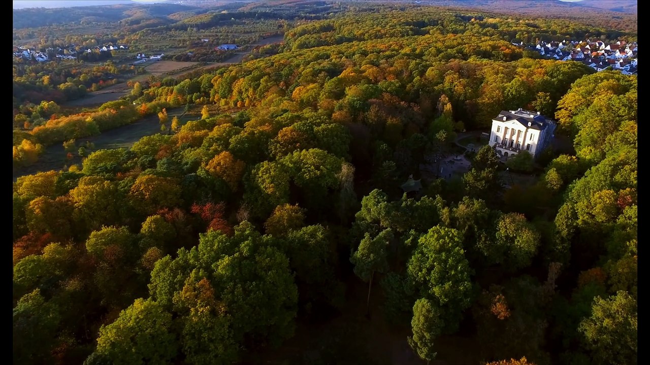 Freudenberg Auf der Suche nach dem Sinn Film