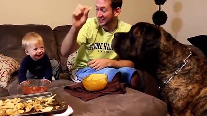 Very funny positions for children