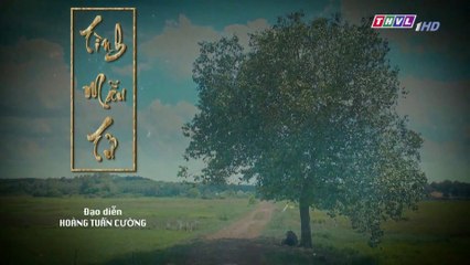 Tình mẫu tử - Tập 31 FullHD 23-08-2019