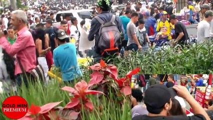 MARCHA DE LA MARIHUANA   EN  MEDELLÍN