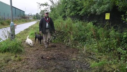 Community orchard 'hacked'