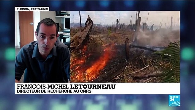 Incendies en Amazonie : les feux sont le miroir du phénomène de déforestation