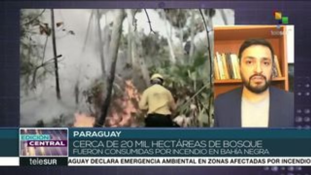 Declaran emergencia ambiental en el Pantanal Paraguayo