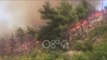 RTV Ora - Zjarr në malin e Shëngjinit, Prefekti flet për RTV Ora: Kemi agravim të situatës