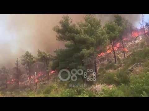 RTV Ora - Zjarr në malin e Shëngjinit, Prefekti flet për RTV Ora: Kemi agravim të situatës