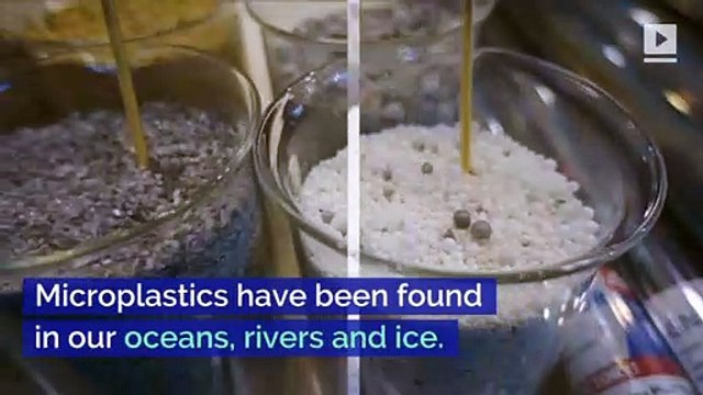 Microplastics in Water Don't Pose Health Risk, Report Finds