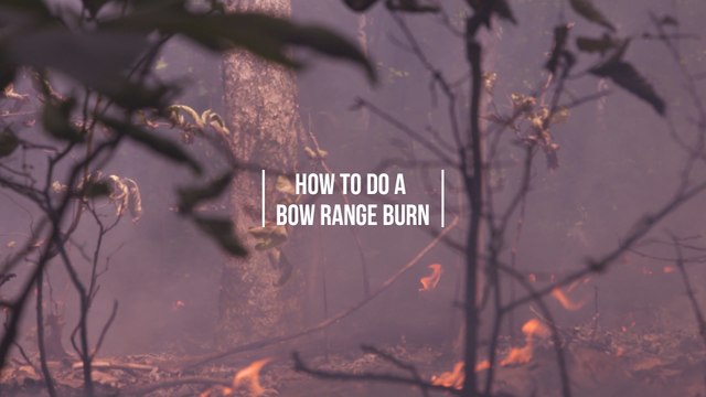 A Prescribed Burn Will Help You Put Bucks in Bow Range