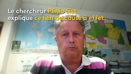 Incendies en Amazonie : les ravages de la déforestation
