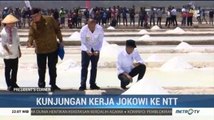 Kunjungan Kerja Jokowi ke NTT