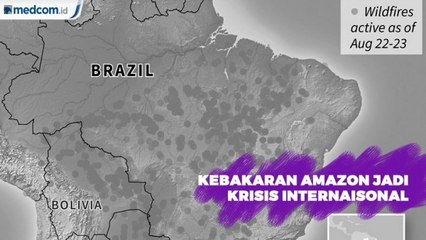 Kebakaran Amazon Menjadi Krisis Internasional