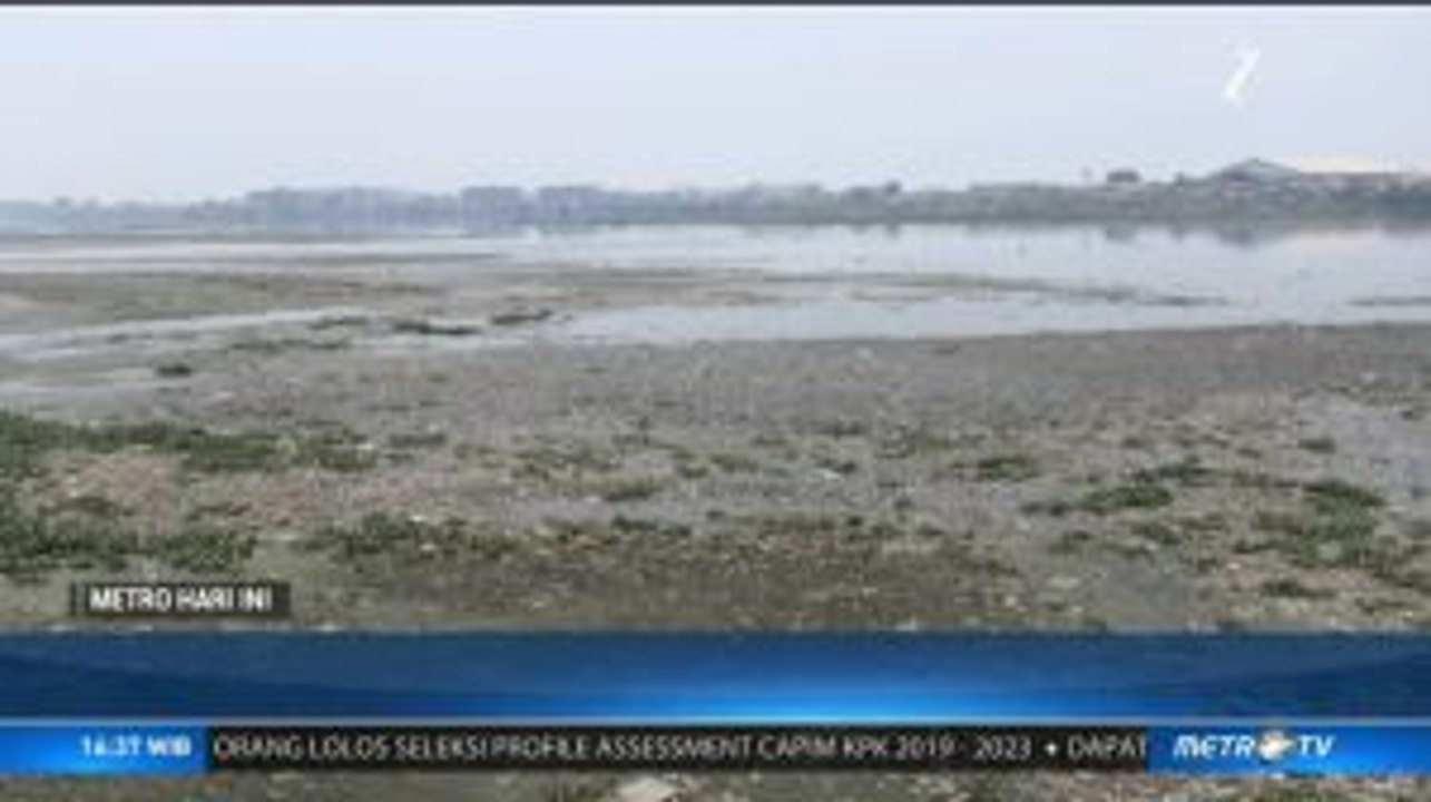 Waduk Pluit Mengering