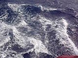 Ocean Voyager Catamaran sailing downwind at 15 knots