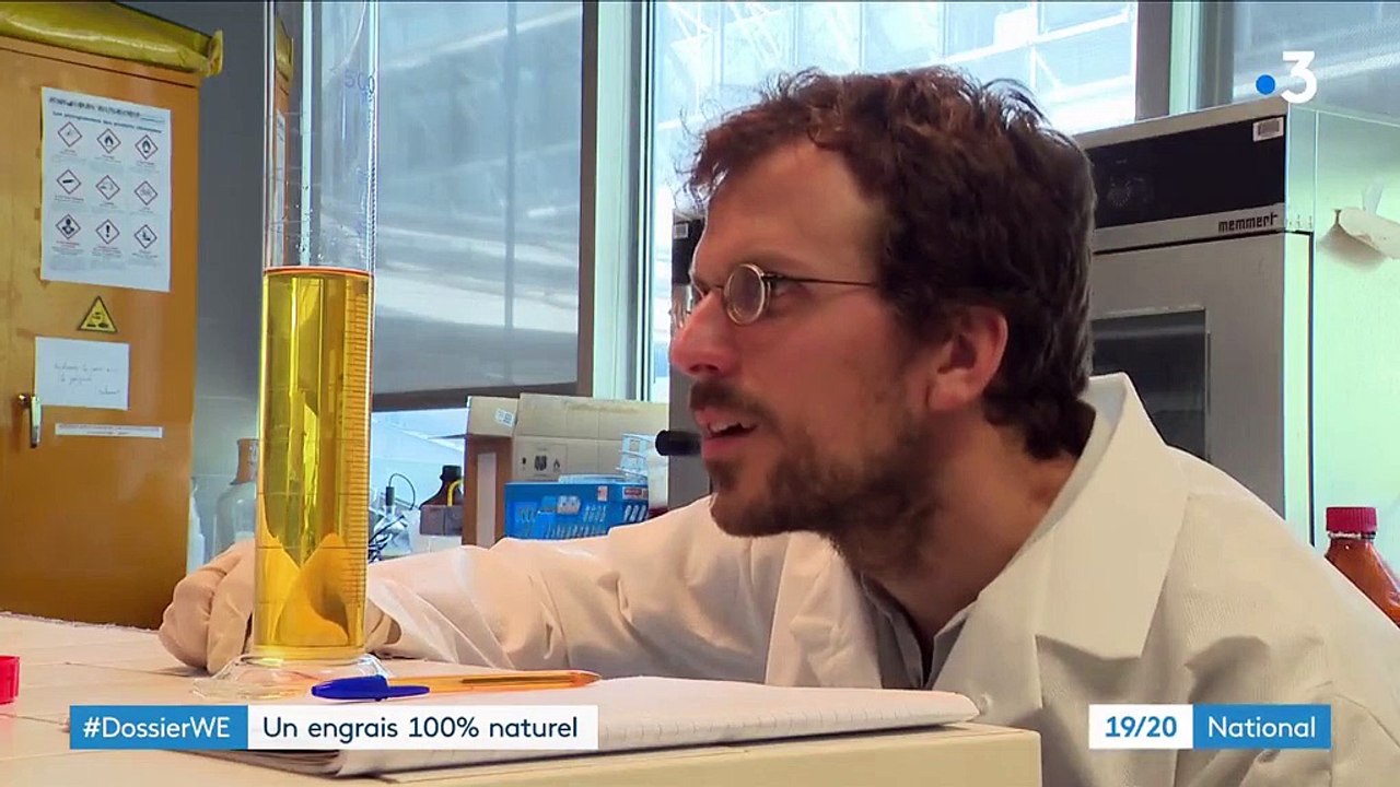 Utiliser de l'urine humaine comme engrais ? Des scientifiques travaillent sur cette solution efficace pour l'agriculture de demain