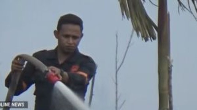 Kebun Pinang dan Kelapa Sawit di Jambi Terbakar
