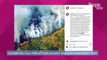 Amazon Rainforest Fires Threaten Climate Change Efforts — What's at Stake for the Planet