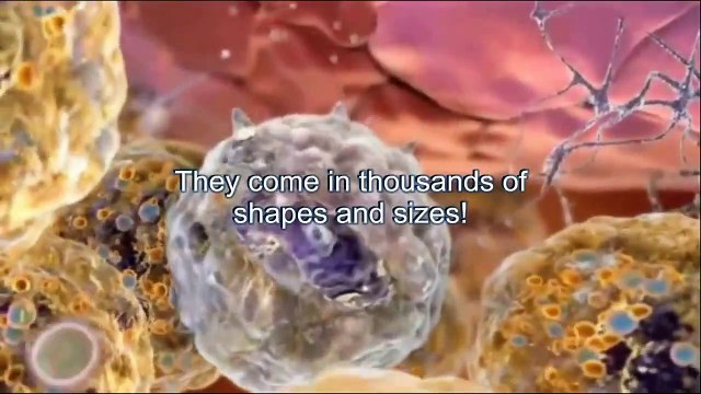 HEALING CELLS PEMF 8000 | PEMF 8000 CREATES WELLNESS