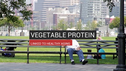 Vegetable Protein Linked To Healthy Aging
