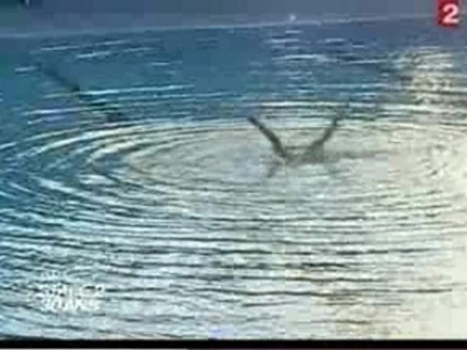 Stade2 30 Ans D'émotions - Nicolas Canteloup