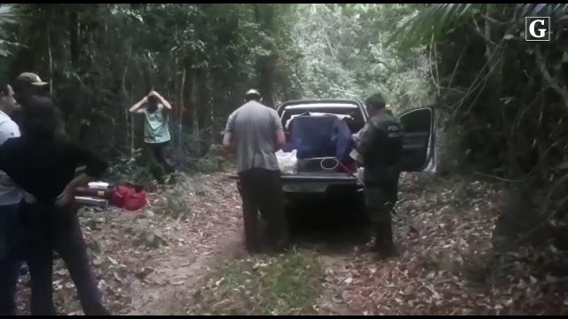 Onça que apareceu em quintal de casa é solta na Reserva de Sooretama