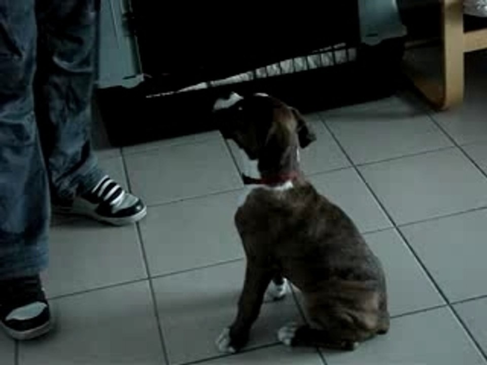 Cookie'Z 29/01/08