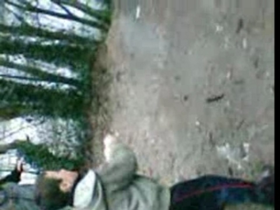 Kevin