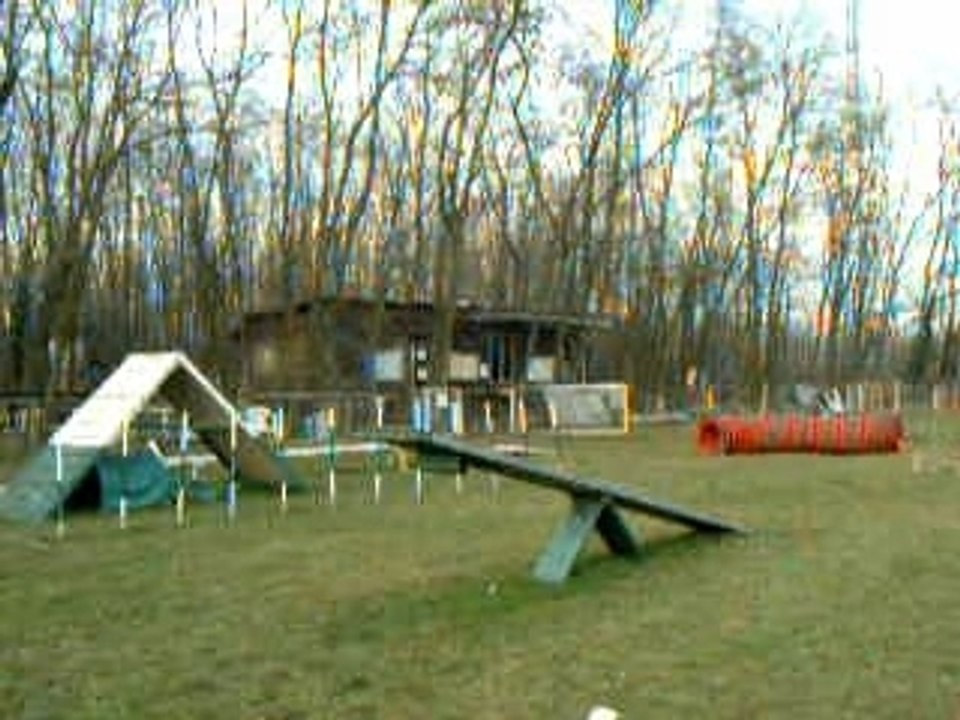 agility clementine
