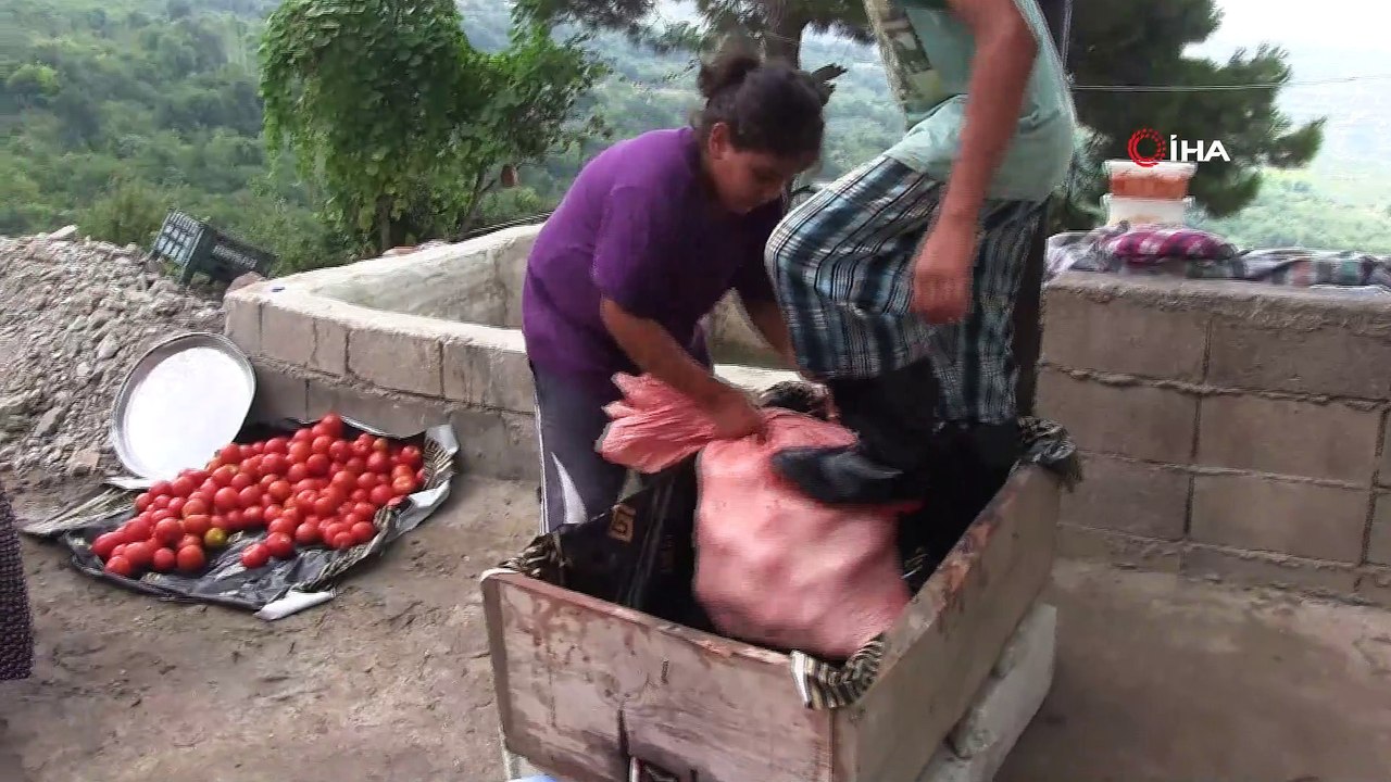 Hatay’da salça sezonu açıldı