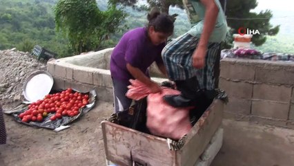 Hatay’da salça sezonu açıldı