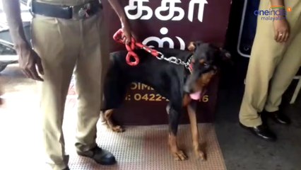 തീവ്രവാദ ഭീഷണി 8 മലയാളിക്കൊപ്പം വന്ന യുവതി പിടിയില്‍