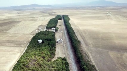 Doğa sararınca raylardaki 'vaha' dikkati çekti - KARS