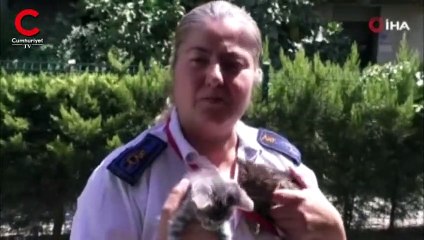 Otobüs şoförü Filiz Karatepe: "Şikayet ve cezaları göze almak zorundayım, evde bırakamıyorum"